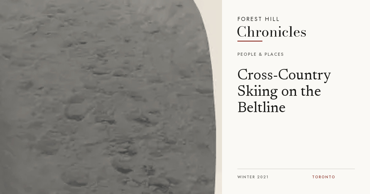 Snow-covered ground on the Beltline Trail, photographed for the cross-country skiing story.